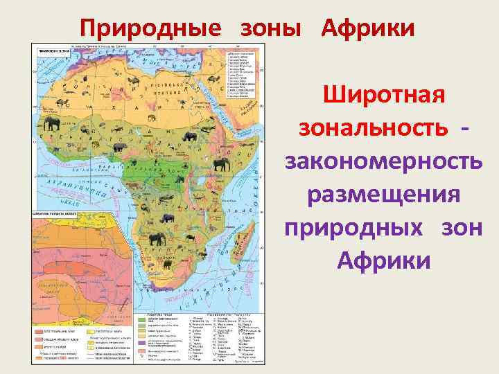 Природные зоны Африки Широтная зональность закономерность размещения природных зон Африки 