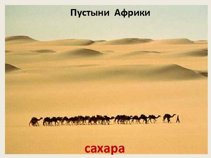 Пустыни Африки сахара 