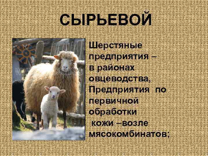 СЫРЬЕВОЙ Шерстяные предприятия – в районах овцеводства, Предприятия по первичной обработки кожи –возле мясокомбинатов;