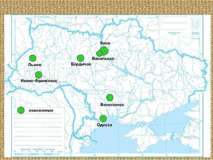 Киев Васильков Львов Бердичев Ивано-Франковск Вознесенск кожевенная Одесса 