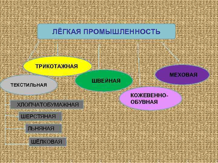 ЛЁГКАЯ ПРОМЫШЛЕННОСТЬ ТРИКОТАЖНАЯ ТЕКСТИЛЬНАЯ ХЛОПЧАТОБУМАЖНАЯ ШЕРСТЯНАЯ ЛЬНЯНАЯ ШЁЛКОВАЯ МЕХОВАЯ ШВЕЙНАЯ КОЖЕВЕННООБУВНАЯ 