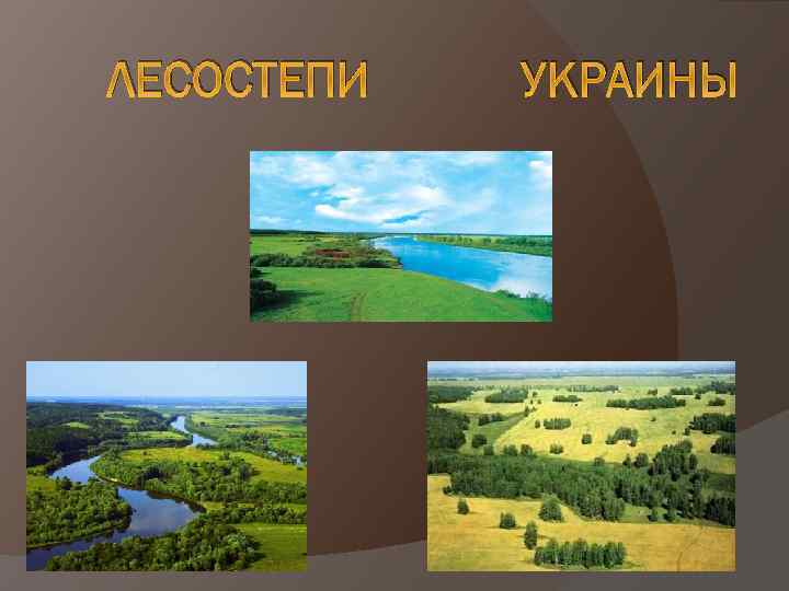 ЛЕСОСТЕПИ УКРАИНЫ 