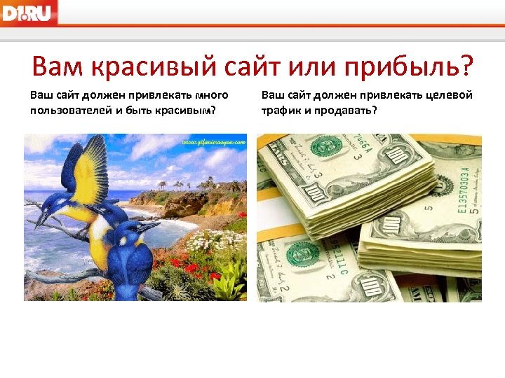 Вам красивый сайт или прибыль? Ваш сайт должен привлекать много пользователей и быть красивым?