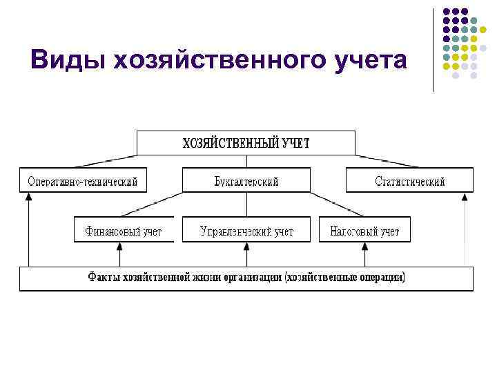 Виды хозяйственного учета 