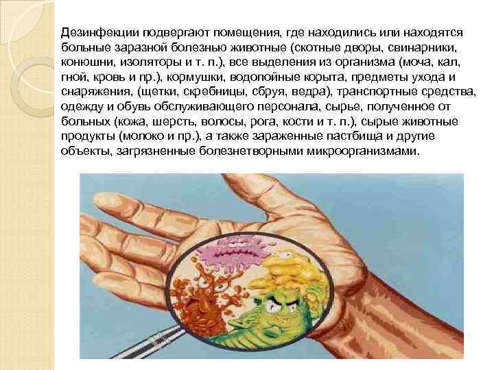 Дезинфекции подвергают помещения, где находились или находятся больные заразной болезнью животные (скотные дворы, свинарники,