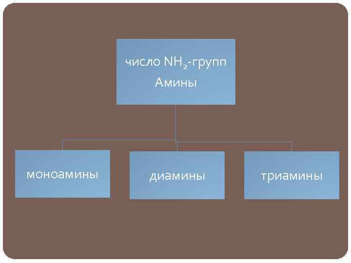 число NH 2 -групп Амины моноамины диамины триамины 