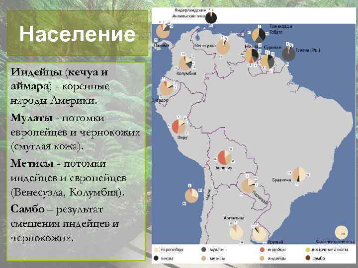Население Индейцы (кечуа и аймара) - коренные народы Америки. Мулаты - потомки европейцев и