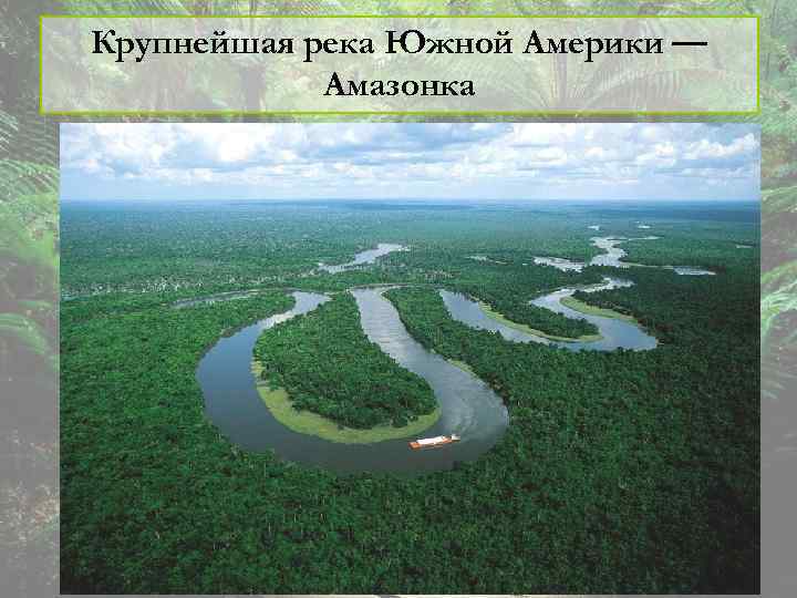 Крупнейшая река Южной Америки — Амазонка 