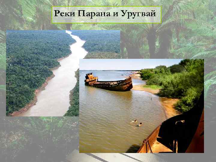 Реки Парана и Уругвай 