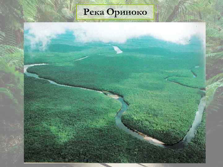 Река Ориноко 