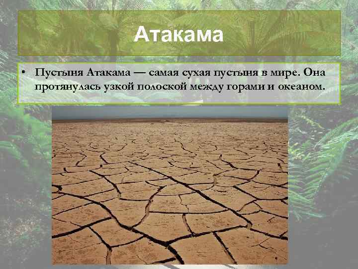 Атакама • Пустыня Атакама — самая сухая пустыня в мире. Она протянулась узкой полоской
