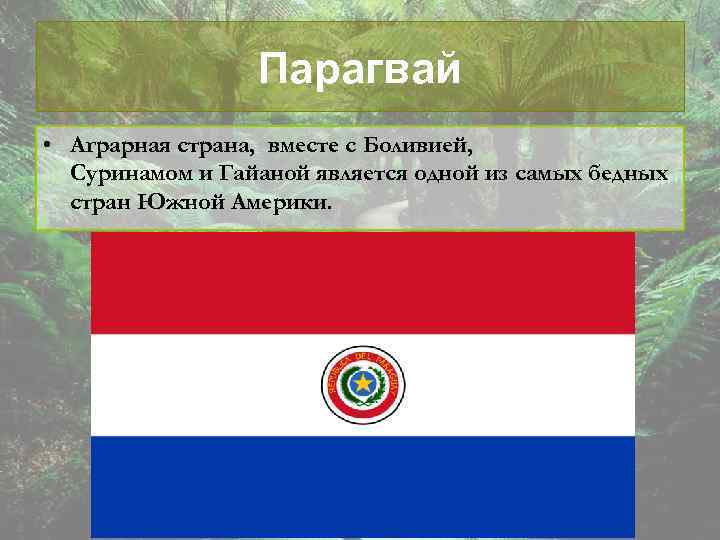 Парагвай • Аграрная страна, вместе с Боливией, Суринамом и Гайаной является одной из самых