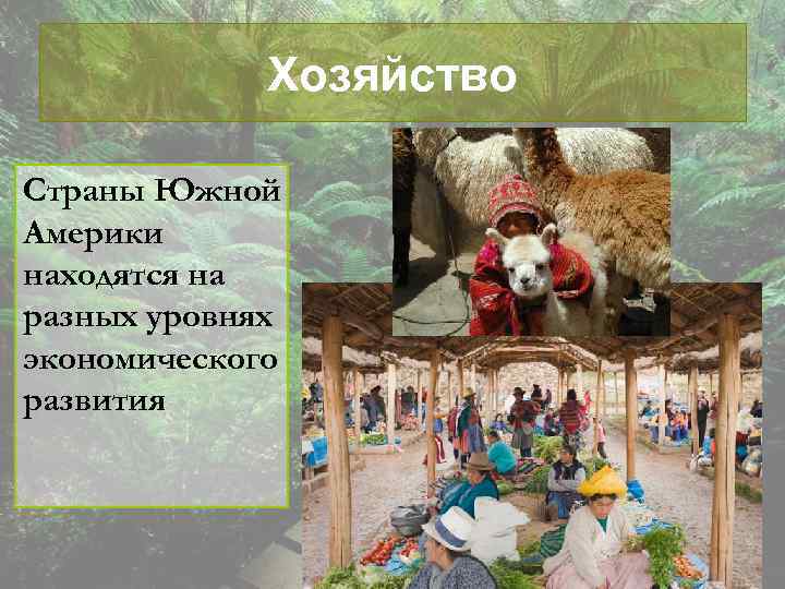 Хозяйство Страны Южной Америки находятся на разных уровнях экономического развития 
