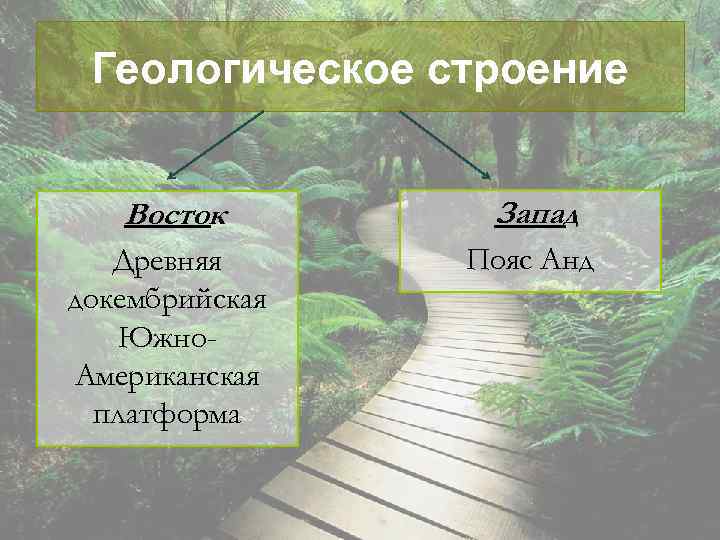 Геологическое строение Восток Запад Древняя докембрийская Южно. Американская платформа Пояс Анд 