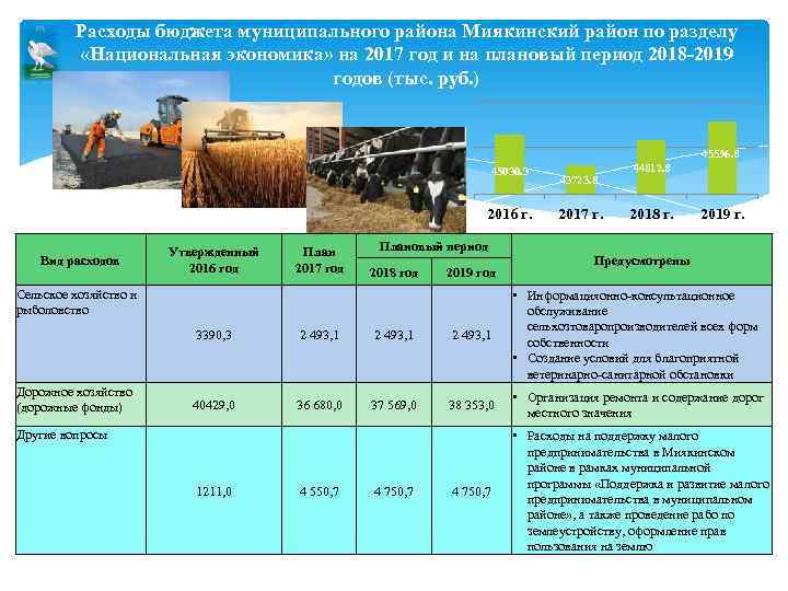 Расходы бюджета муниципального района Миякинский район по разделу «Национальная экономика» на 2017 год и
