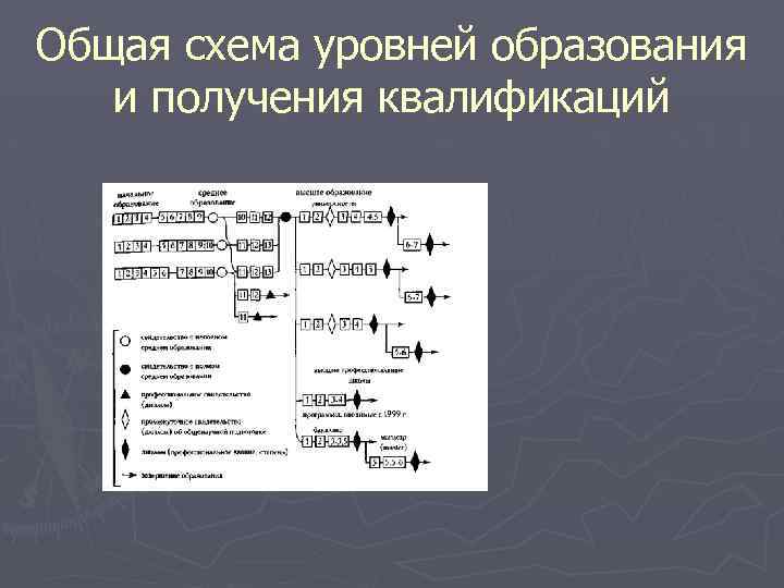 Общая схема уровней образования и получения квалификаций 