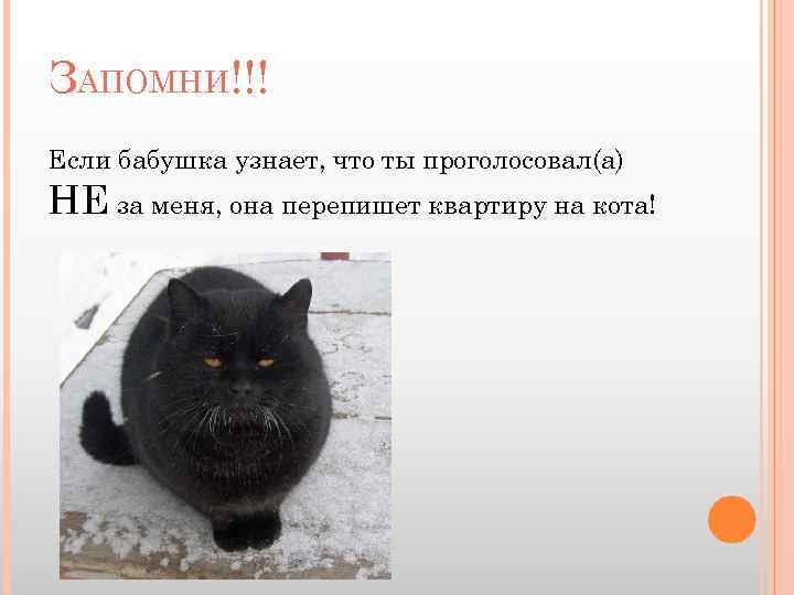 ЗАПОМНИ!!! Если бабушка узнает, что ты проголосовал(а) НЕ за меня, она перепишет квартиру на