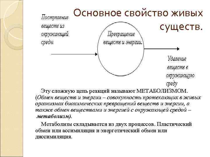 Живой обмен. Обмен веществ и энергии основное свойство. Обмен веществ и энергии- основное свойство живых организмов. Свойства живого обмен веществ и энергии. Основные свойства живого обмен веществ и энергии.