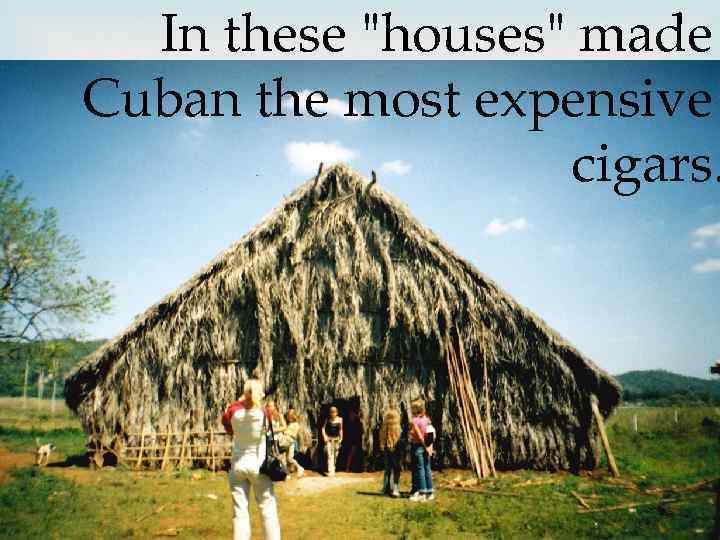 In these "houses" made Cuban the most expensive cigars. 