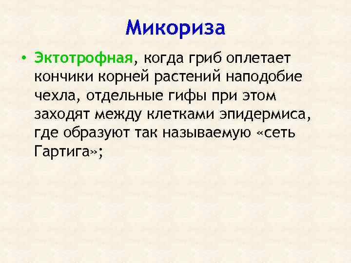 Микориза • Эктотрофная, когда гриб оплетает кончики корней растений наподобие чехла, отдельные гифы при