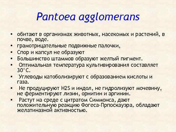 Pantoea agglomerans • обитают в организмах животных, насекомых и растений, в почве, воде. •