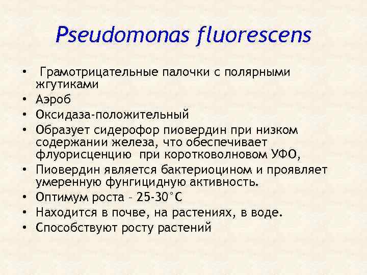 Pseudomonas fluorescens • • Грамотрицательные палочки с полярными жгутиками Аэроб Оксидаза-положительный Образует сидерофор пиовердин