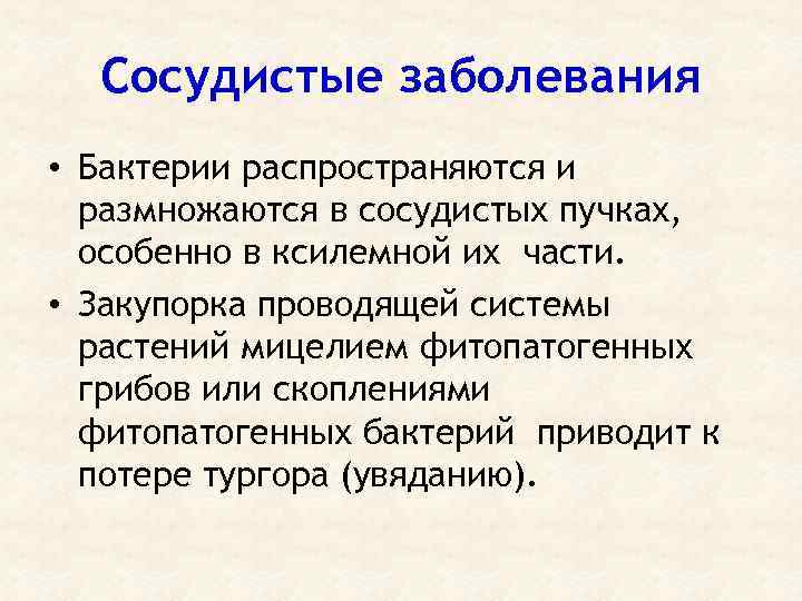 Сосудистые заболевания • Бактерии распространяются и размножаются в сосудистых пучках, особенно в ксилемной их