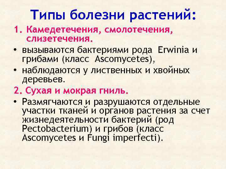 Типы болезни растений: 1. Камедетечения, смолотечения, слизетечения. • вызываются бактериями рода Erwinia и грибами