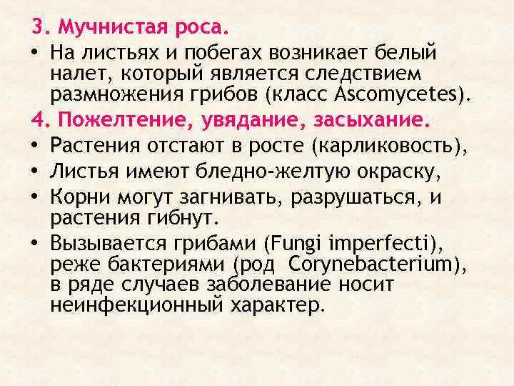 3. Мучнистая роса. • На листьях и побегах возникает белый налет, который является следствием