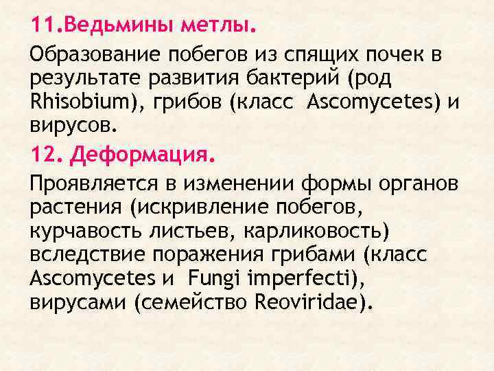 11. Ведьмины метлы. Образование побегов из спящих почек в результате развития бактерий (род Rhisobium),