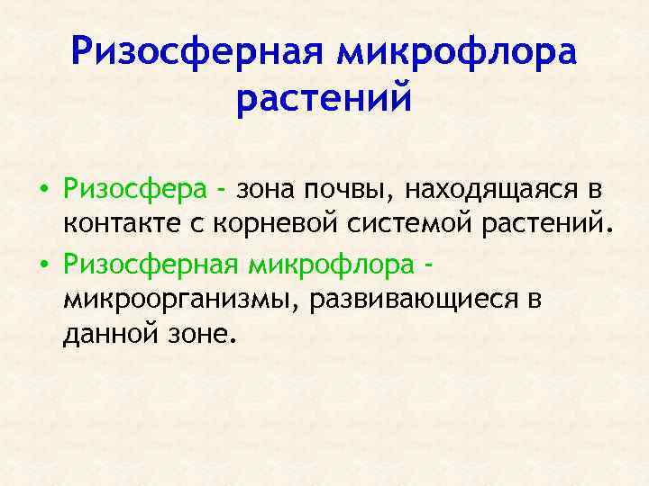 Ризосферная микрофлора растений • Ризосфера - зона почвы, находящаяся в контакте с корневой системой