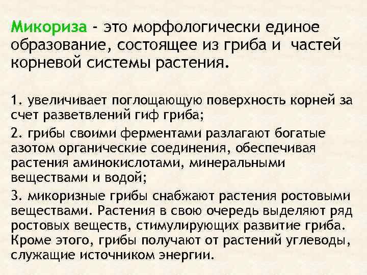 Микориза - это морфологически единое образование, состоящее из гриба и частей корневой системы растения.