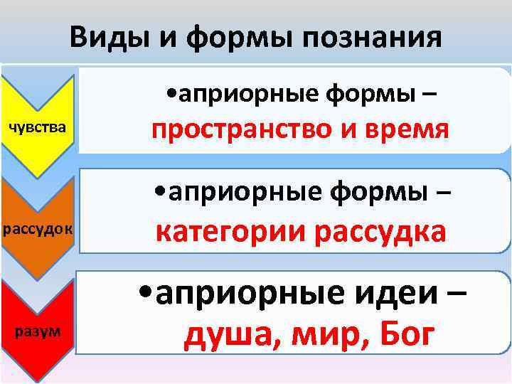 Виды и формы познания • априорные формы – чувства пространство и время • априорные