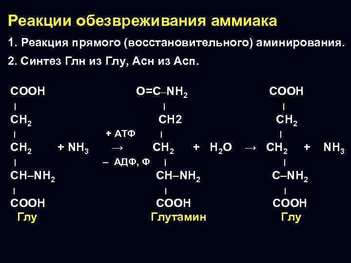 Обезвреживание аммиака биохимия