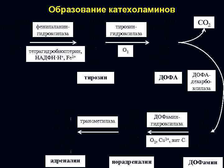 Система химического обмена