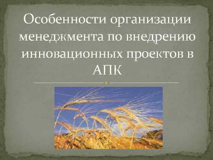 Особенности организации менеджмента по внедрению инновационных проектов в АПК 