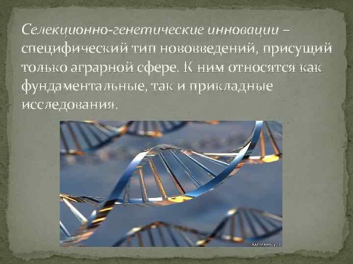 Селекционно-генетические инновации – специфический тип нововведений, присущий только аграрной сфере. К ним относятся как