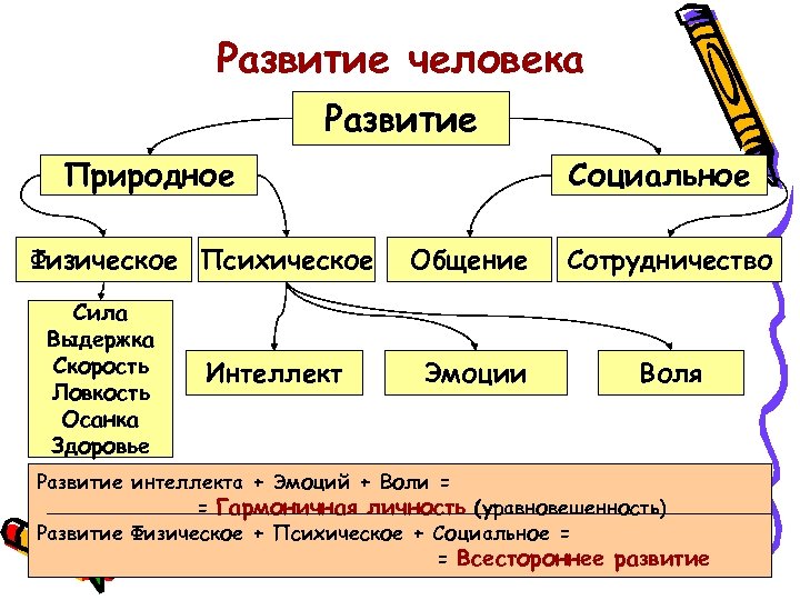 Развитие человека Развитие Природное Физическое Психическое Сила Выдержка Скорость Ловкость Осанка Здоровье Интеллект Социальное
