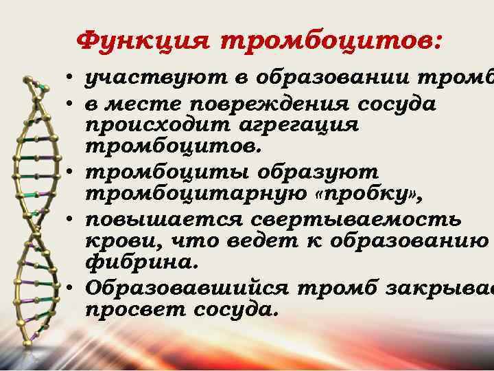 Функция тромбоцитов: • участвуют в образовании тромб • в месте повреждения сосуда происходит агрегация