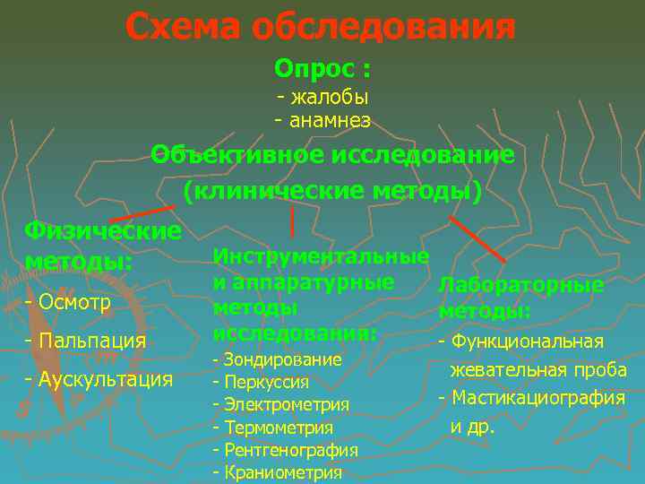 Схема обследования Опрос : - жалобы - анамнез Объективное исследование (клинические методы) Физические методы: