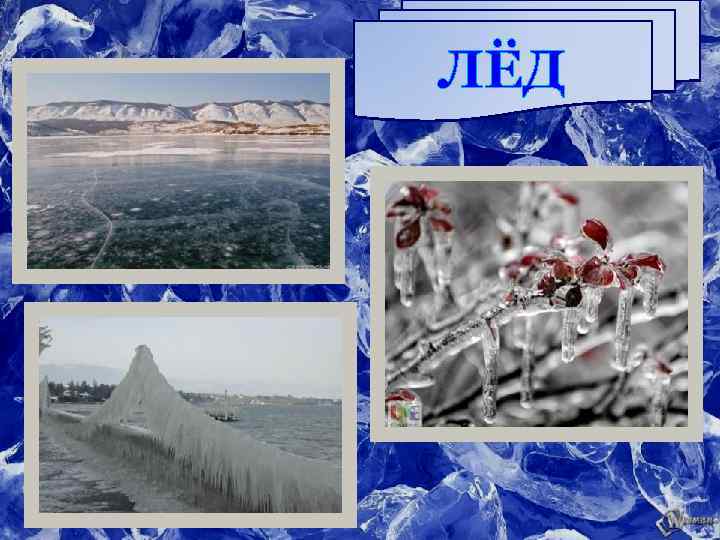 ЛЁД 