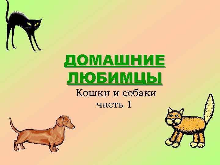 ДОМАШНИЕ ЛЮБИМЦЫ Кошки и собаки часть 1 