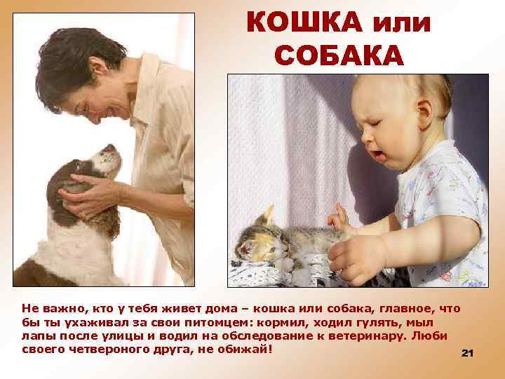 КОШКА или СОБАКА Не важно, кто у тебя живет дома – кошка или собака,