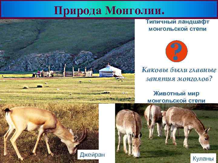 Природа Монголии. Меню Типичный ландшафт монгольской степи ? Каковы были главные занятия монголов? Животный