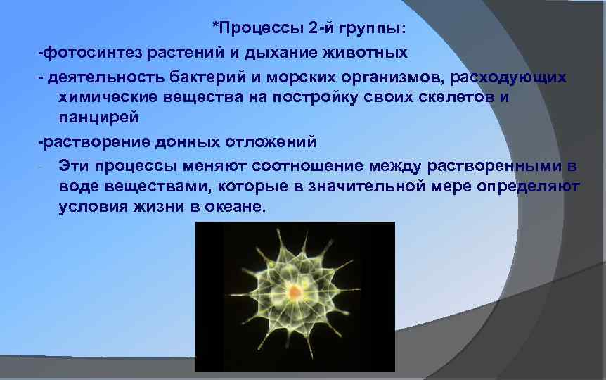 *Процессы 2 -й группы: -фотосинтез растений и дыхание животных - деятельность бактерий и морских