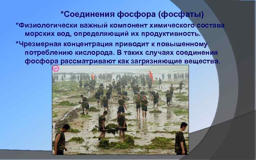 *Соединения фосфора (фосфаты) *Физиологически важный компонент химического состава морских вод, определяющий их продуктивность. *Чрезмерная