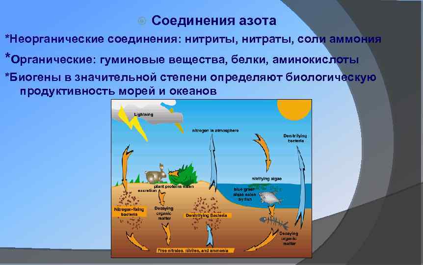 Азота неорганические соединения