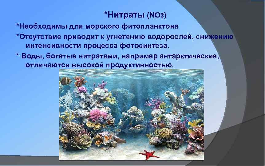 *Нитраты (NO 3) *Необходимы для морского фитопланктона *Отсутствие приводит к угнетению водорослей, снижению интенсивности