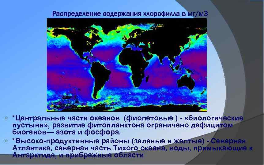 Распределения содержания. Карта распространения фитопланктона на планете. Оценка содержания хлорофилла в планктоне. Закон распределения фитопланктона. Влияние фитопланктона на химический состав воды.