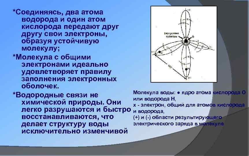 *Соединяясь, два атома водорода и один атом кислорода передают другу свои электроны, образуя устойчивую